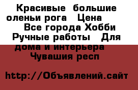 Красивые  большие оленьи рога › Цена ­ 3 000 - Все города Хобби. Ручные работы » Для дома и интерьера   . Чувашия респ.